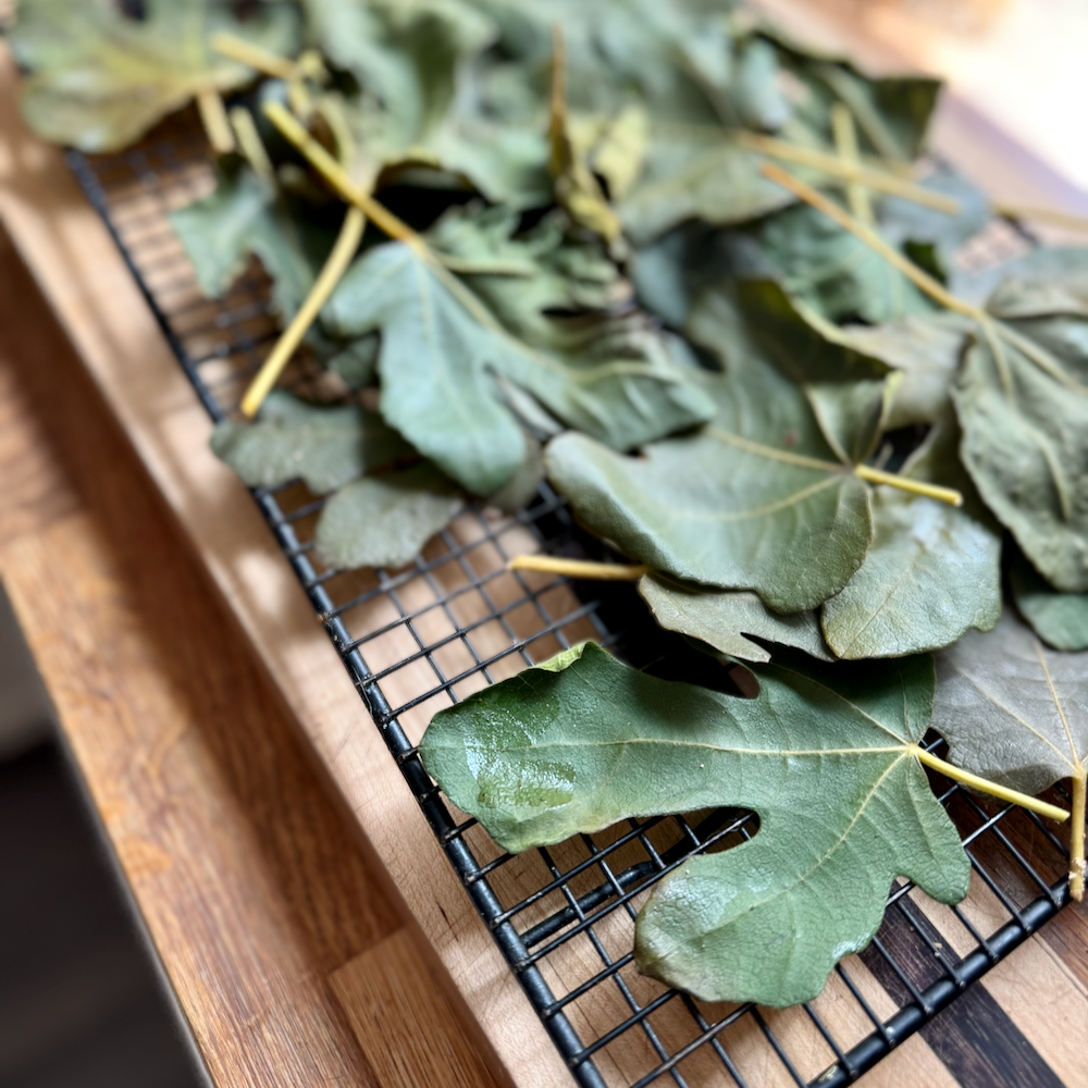 Smoked Fig Leaves