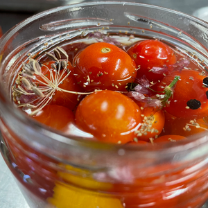 Dilly Pickled Tomatoes