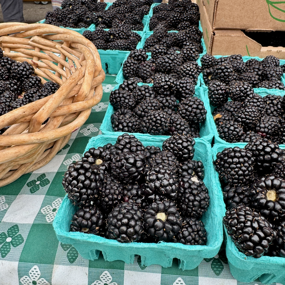 Blackberry with Basil
