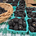 Blackberry with Basil