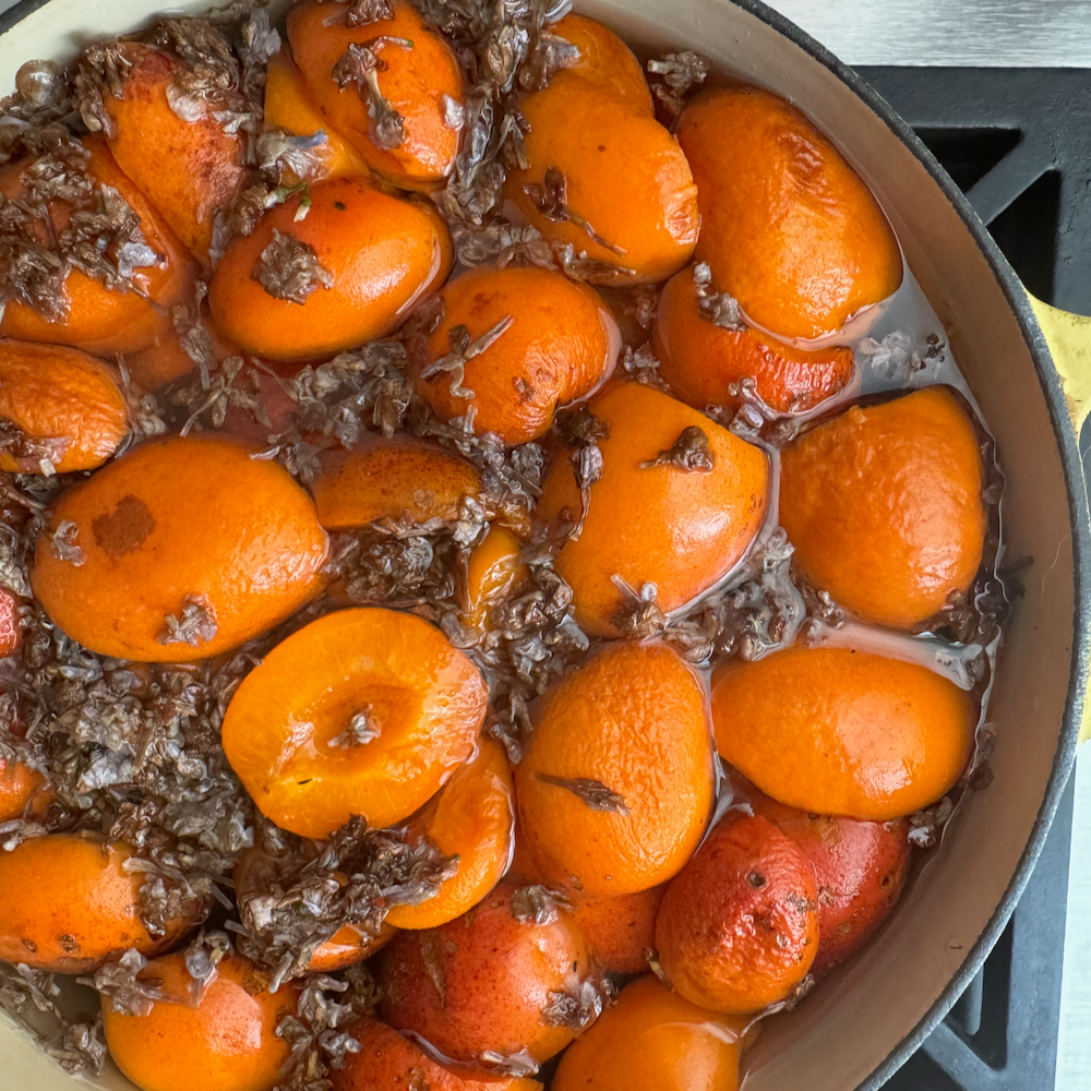 Dried Apricots with Lilacs