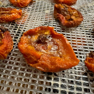 Dried Apricots with Lilacs