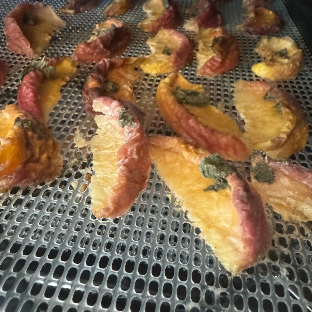 Dried White Peaches with Mint Leaves