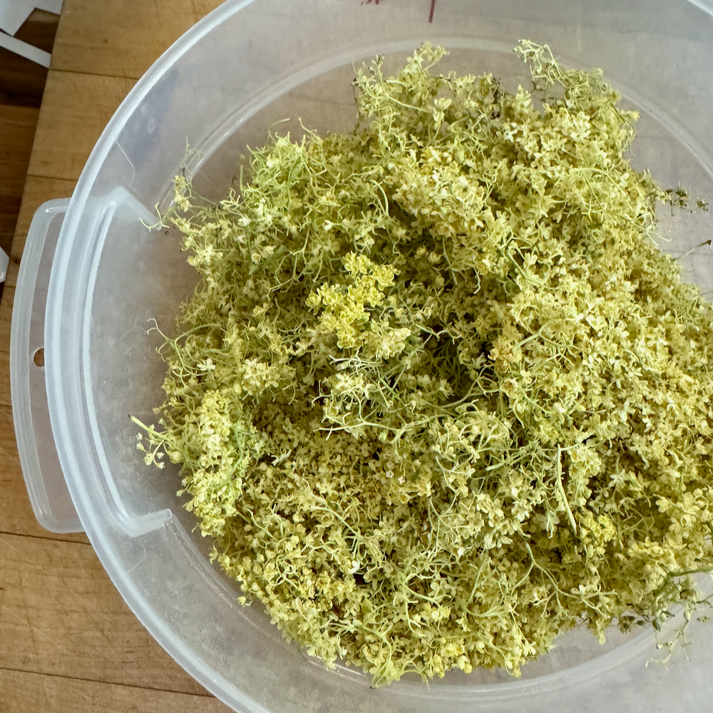 Freeze Dried Elderflowers