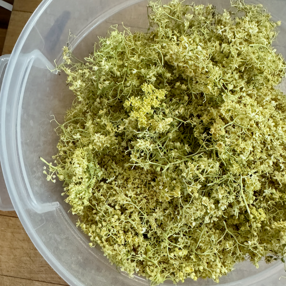 Freeze Dried Elderflowers