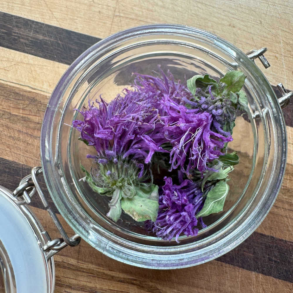 Freeze Dried Bee Balm Flowers